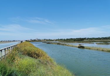 Trail Hybrid bike La Guérinière - Noirmoutier le Tour de l'île  - Photo