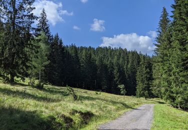 Randonnée A pied Staré Hamry - NS Gruň - Bílý Kříž - Photo