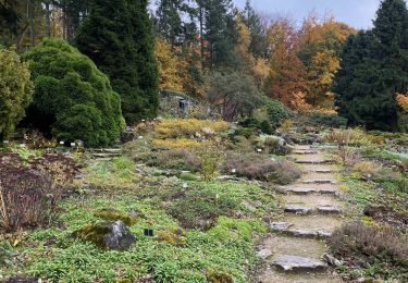 Tour Wandern Beersel - Dworp - Parc de Huizingen - Bois de Halle - Photo