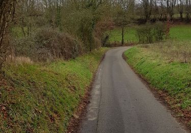 Tour Wandern Sargé-lès-le-Mans - Autour de Sargé - Photo