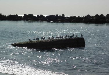 Percorso A piedi Casarza Ligure - Casarza Ligure - Colle di Casa Venino - Photo