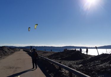 Tour Wandern Hyères - Le tour des étangs de Pesquier  - Photo