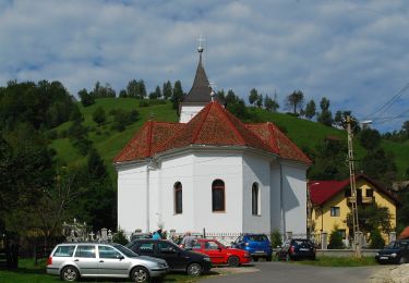 Tour Zu Fuß  - Șimon - Vâlcelul Guțanului - Poiana Guțanu - Photo