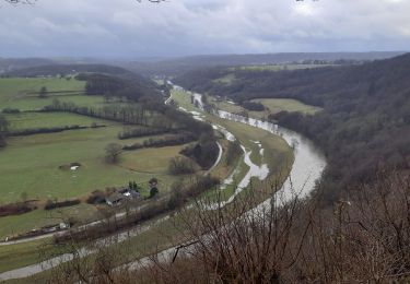 Percorso Marcia Esneux - boucles l ourthe . aller via l ourthe . retour via roche aux faucons  - Photo