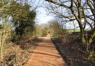 Tour Zu Fuß Bolsover - Archaeological Way (old route) - Photo