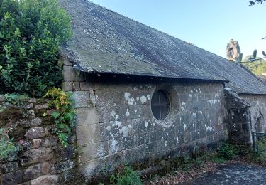 Trail Walking Auray - PR_56_Auray_BA_03_Boucle-Du-Loch_20250726 - Photo