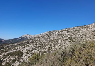 Randonnée Marche Puyloubier - 2023-02-03 Sainte Victoire - Le Pic des Mouches - Photo