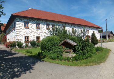 Tour Zu Fuß Altenberg bei Linz - Gallneukirchen-Altenberg-Hellmonsödt - Photo