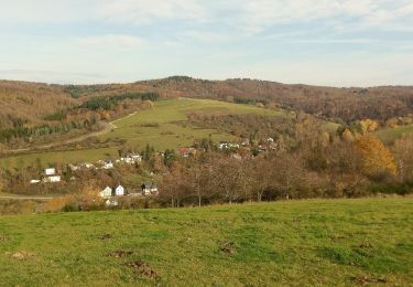 Percorso A piedi Bad Schwalbach - Der Überhöhische - Photo