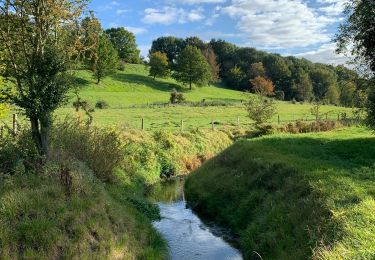 Randonnée Marche Saint-Trond - La réserve naturelle Overbroek à Saint-Trond - Photo