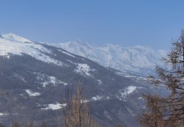 Percorso Racchette da neve Colmars - raquettes à Rateri - Photo