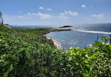 Tour Wandern Sainte-Anne - Quartier ferré vers Cap Chevalier avec modification du parcours en cas de problème à Anse aux bois !  - Photo