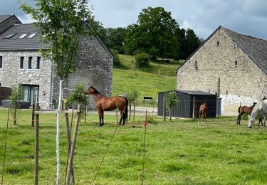 Tocht Stappen Anthisnes - Villers aux tours - Photo