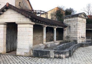 Excursión Senderismo Boult - Boult petite randonnée  - Photo