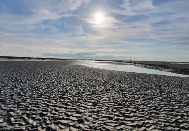 Excursión Senderismo Saint-Valery-sur-Somme - Traversée Baie de Somme 11/08/2021 - Photo