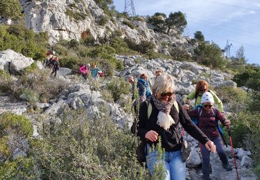 Tocht Stappen Le Revest-les-Eaux - tourris - Photo