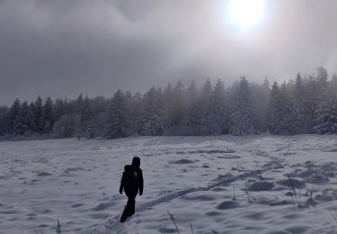 Trail Walking Belmont - 2023-01-21 Marche Neige Belmont Champ du Feu - Photo