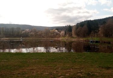 Randonnée A pied Freudenberg - Rundwanderweg Freudenberg 5: Freizeitpark-Weg - Photo