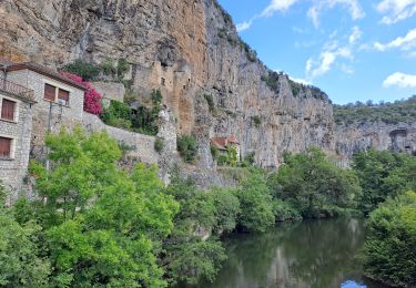 Tocht Mountainbike Lentillac-du-Causse - Ma Aussou - Photo