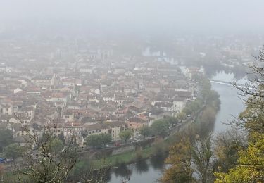 Excursión Senderismo Cahors - Côte des ânes mont st cyr st george  - Photo