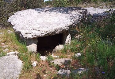 Excursión Senderismo Banne - Dolmens - Photo