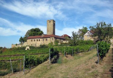 Tour Zu Fuß Sulzfeld - Trockenmauer-Weg - Photo