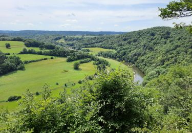 Tour Wandern Esneux - La Roche aux faucons - Départ d'Esneux - Photo