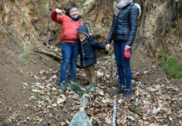 Tour Wandern Steinbach - Mines silberthal / streinbach  - Photo