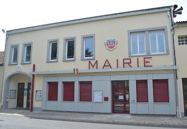 Percorso A piedi Seychalles - La Tour de Courcourt - Photo