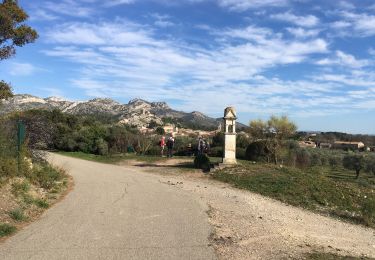 Trail Walking Aureille - Aureille - les Beaumettes - Photo