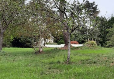 Tocht Stappen Pont-Aven - PONT AVEN/PONT GUILY - Photo