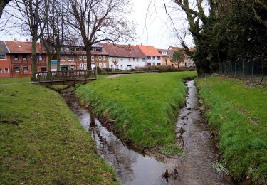 Excursión A pie Schöppenstedt - Elm Rundwanderweg 33 - Photo