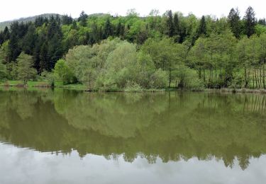 Excursión A pie Saint-Thibaud-de-Couz - Lac de Pisserotte - Photo