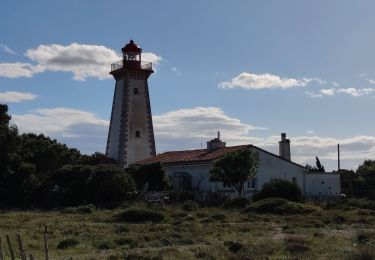 Tocht Mountainbike Leucate - Phare Leucate - Photo
