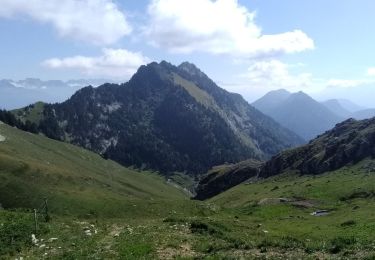 Tocht Stappen Aillon-le-Jeune - Rochers de  Barde - Photo