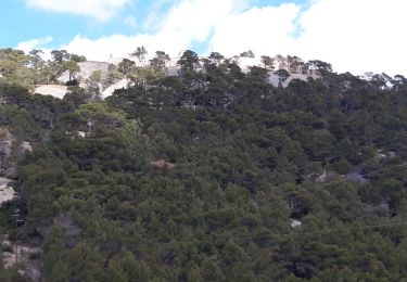 Trail Walking Toulon - Le Faron 12 km-09-04-21 - Photo