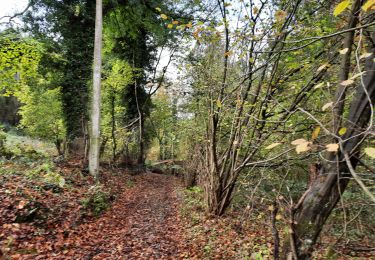 Tocht Stappen Tinlot - Ramelot  - Photo