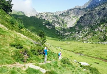 Trail Walking Fontrabiouse - Esposolla - zone humide des Bassettes - Photo