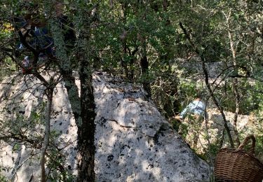 Excursión Senderismo Brissac - St martin sortie avec petits - Photo