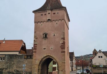 Randonnée Marche Rosheim - Vignoble de Rosheim et Rosenwiller - Photo