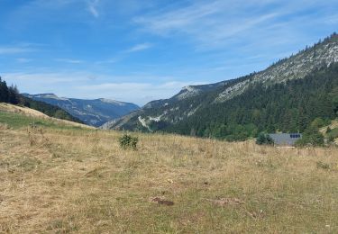 Trail Walking Villard-de-Lans - villars de lans - refuge aliere - Photo