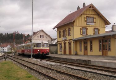 Tocht Te voet Gomadingen - Tour 10 Tiefental und Fauserhöhe - Photo