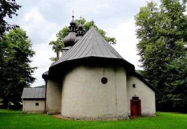 Randonnée A pied Dąbrowa - Szlak spacerowy wschodni - Photo