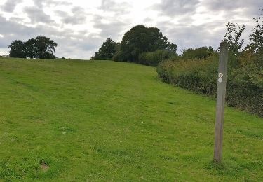 Tour Zu Fuß Wyre Forest - Habberley Valley Circular Walk - Photo