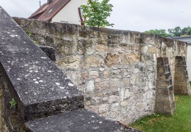 Tocht Te voet Pfarrweisach - Rundwanderweg Fasan Pfarrweissach - Photo