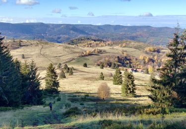 Tocht Stappen Belmont - 2018-11-11 Marche Serva Perheux Cascade - Photo