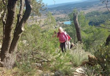 Tour Wandern Claret - mas neuf vailhauques  - Photo