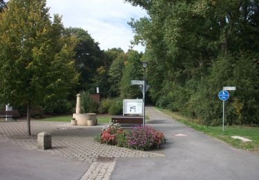 Tocht Te voet Maroldsweisach - Rundwanderweg Uhu Marbach - Photo