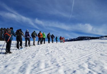 Tour Wandern Prémanon - B Jura - mardi matin 21-01-2020 - les Dappes - Photo