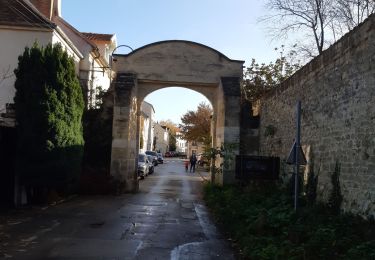 Randonnée Marche Saint-Germain-en-Laye - Promenade en automne - Photo